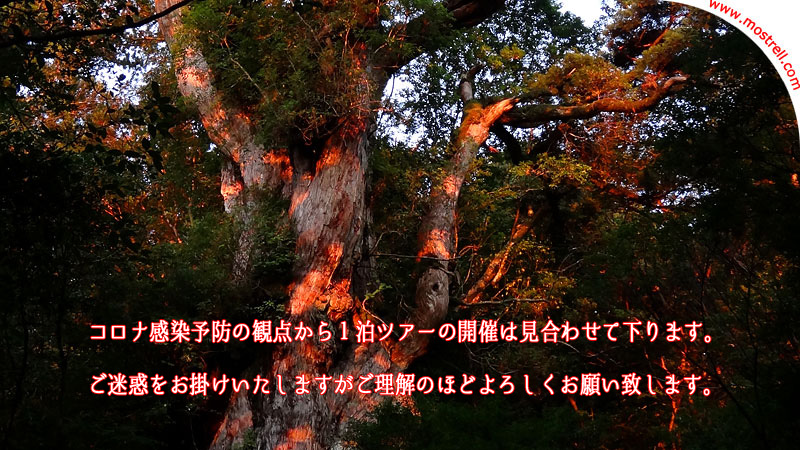 ꕶ